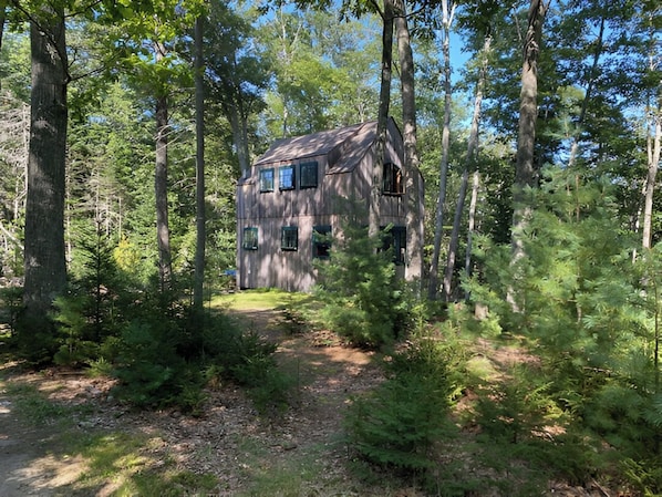waterfront cottage in the woods