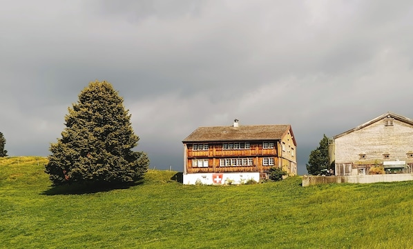 Exteriör
