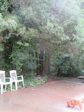 Parco della struttura