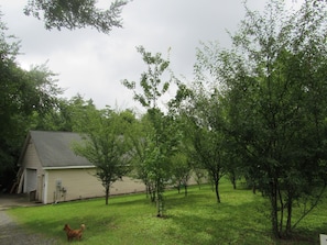 Parco della struttura