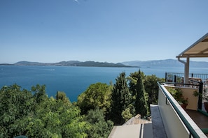 Vista desde la habitación