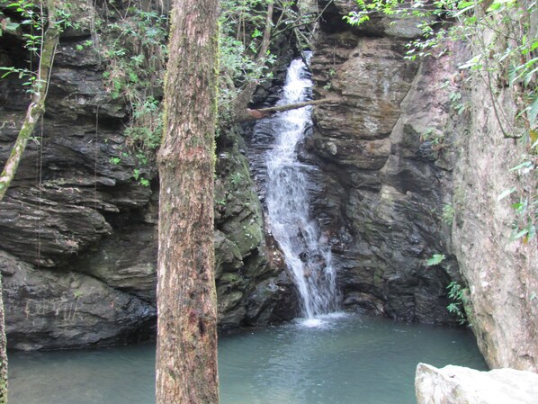 Naturpool