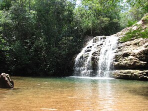 Natural pool