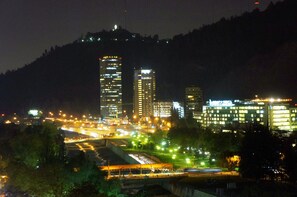 Vista desde la habitación