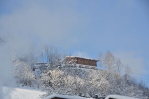 Utsikt från rummet