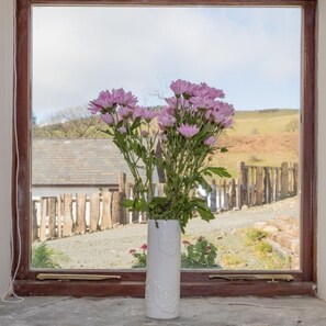 Vista desde la habitación