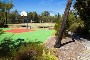 Basketplan
