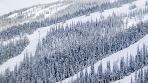 Skidåkning