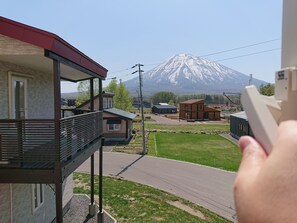 View from room