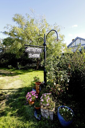 Trädgård