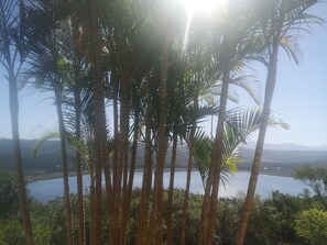 Vista desde la habitación