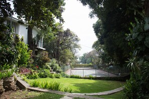 Tennis court