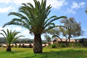 Esterni