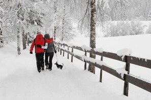 Snow and ski sports