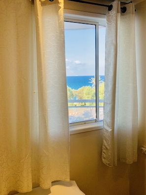 Beach/ocean view