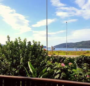 Vista desde la habitación