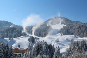Skifahren