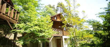 Extérieur