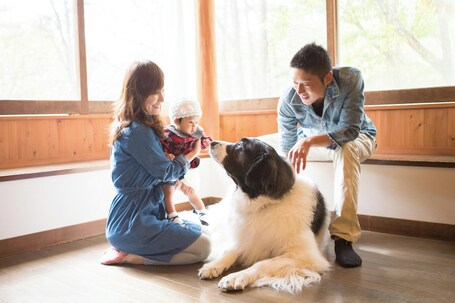 ペット同伴可