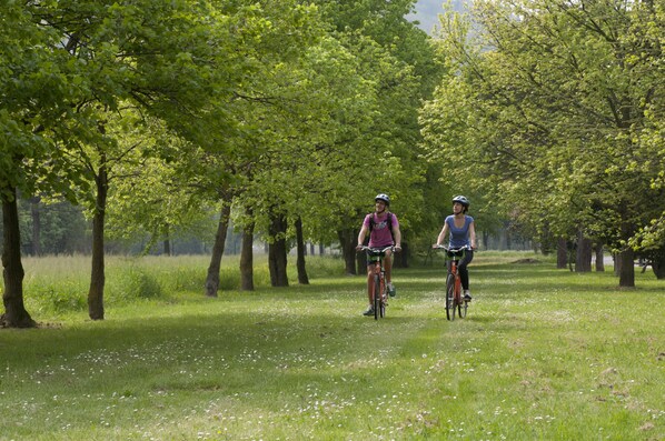 Biciclette