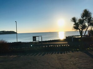 Beach/ocean view