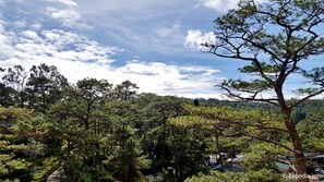 View from room