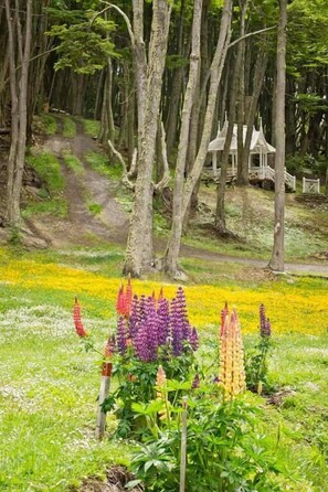 Terrain de l’hébergement 