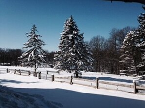 View from property