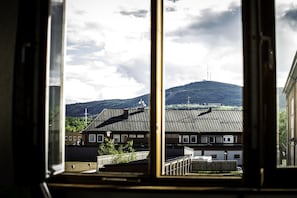 Vue sur les montagnes