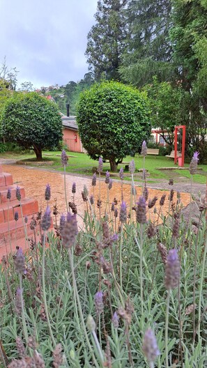 Trädgård