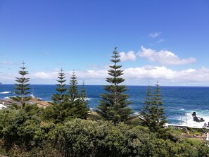 Beach/ocean view