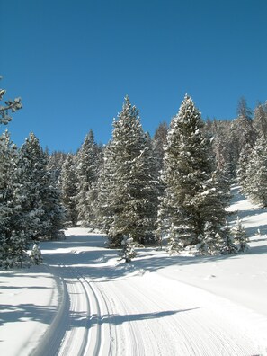 Snow and ski sports