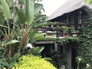 Terassi/patio