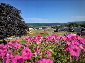 Boendeområde