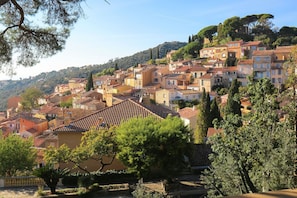 View from Holiday Home [summer]