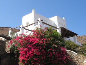Außenseite Ferienhaus [Sommer]