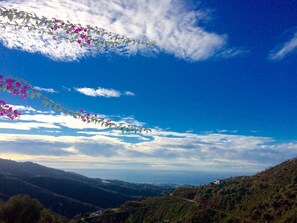 View from Holiday Home [summer]