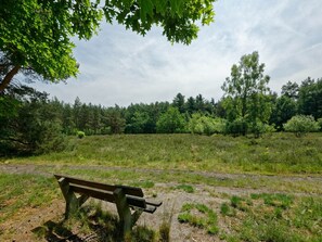Surroundings [summer] (1-5 km)