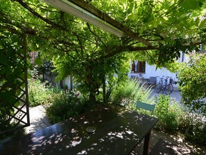 Terrasse / Balkon