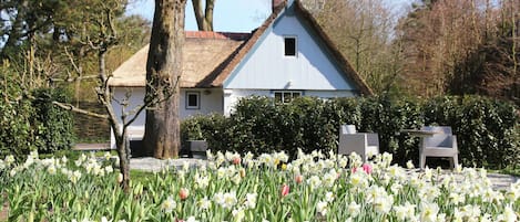 Holiday Home Exterior [summer]