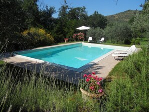 Holiday Home Swimming Pool