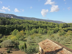 View from Holiday Home [summer]