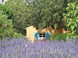 Extérieur maison de vacances [été]