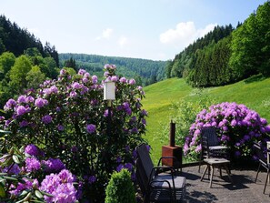 View from Holiday Home [summer]