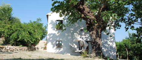 Exterior casa de vacaciones [verano]