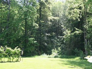 Immediate Surroundings [summer] (<1 km)
