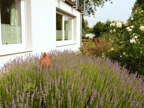 Außenseite Ferienhaus [Sommer]