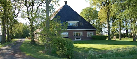 Eksteriør