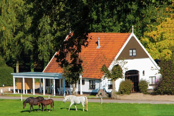 Holiday Home Exterior [summer]