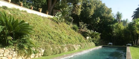 Piscine maison de vacances